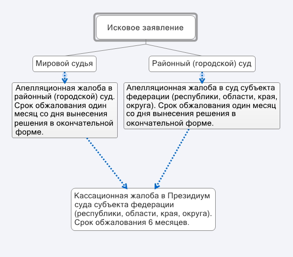 apellyatsionnaya-zhaloba-dolzhna-soderzhat-im-21