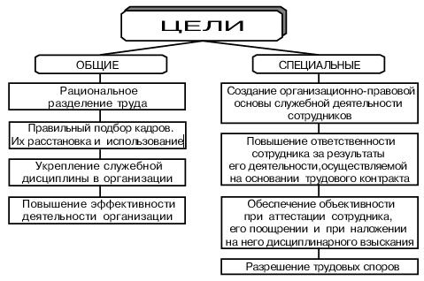 dolzhnostnie-instruktsii-glavnogo-buhgaltera-ooo-im-15