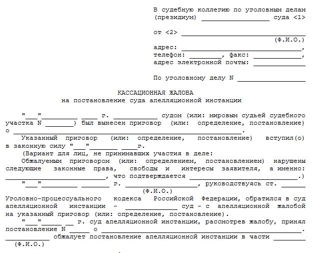 obrazets-apellyatsionnoy-zhalobi-na-reshenie-suda-po-grazhdanskomu-delu-im-16