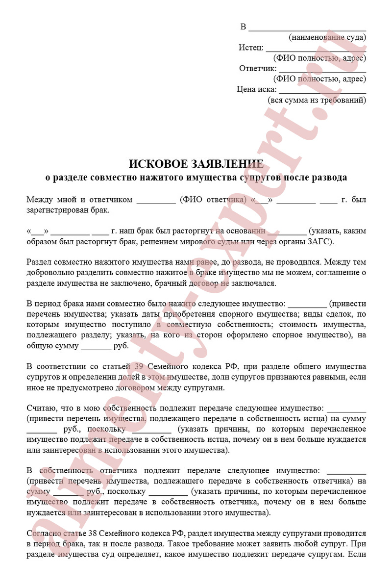 Образец искового заявления в суд о разделе имущества после развода супругов