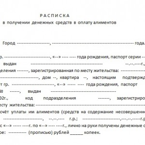 raspiska-o-poluchenii-alimentov-na-rebenka-obrazets-im-11