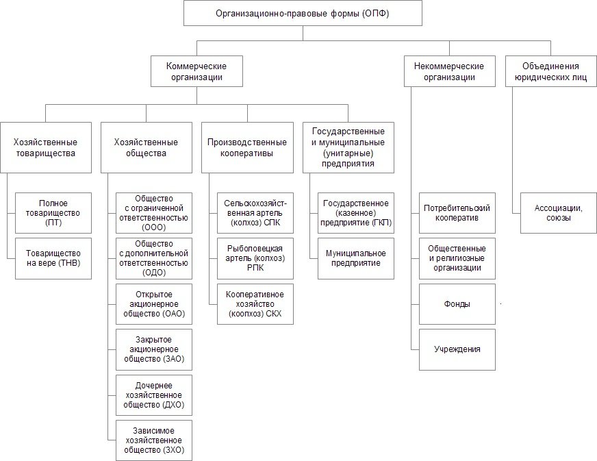 ooo-eto-organizatsiya-ili-predpriyatie-im-16