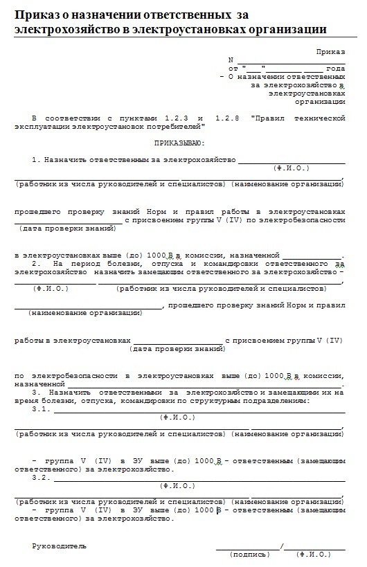 Образец приказа о назначении ответственным за электрохозяйство