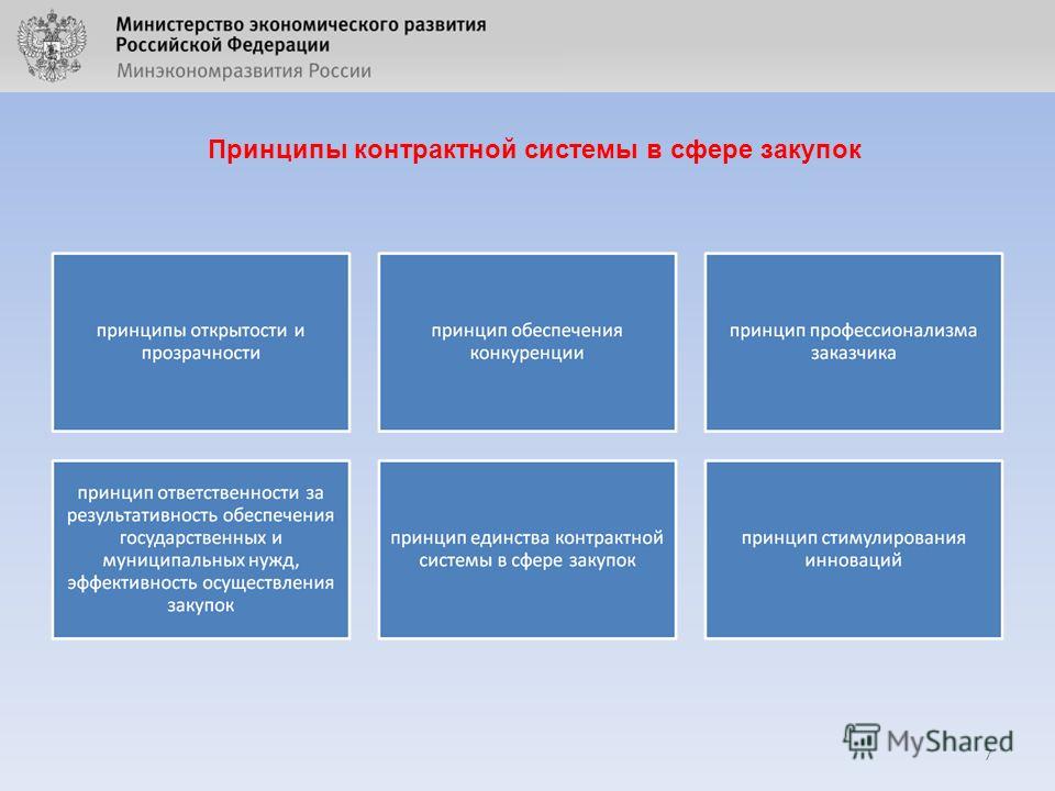 printsipi-kontraktnoy-sistemi-v-sfere-zakupok-44-fz-im-10