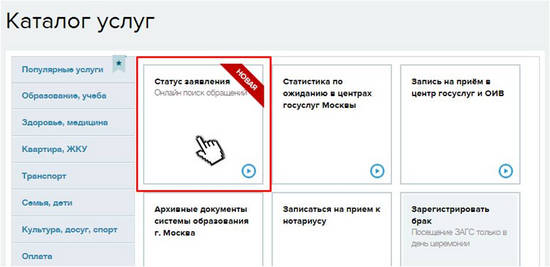chto-takoe-oiv-na-portale-gosuslugi-im-6