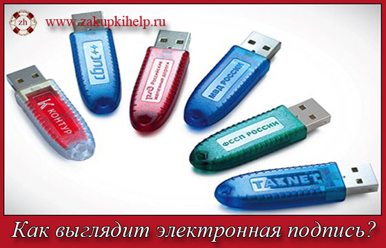 kak-viglyadit-elektronnaya-podpis-im-28