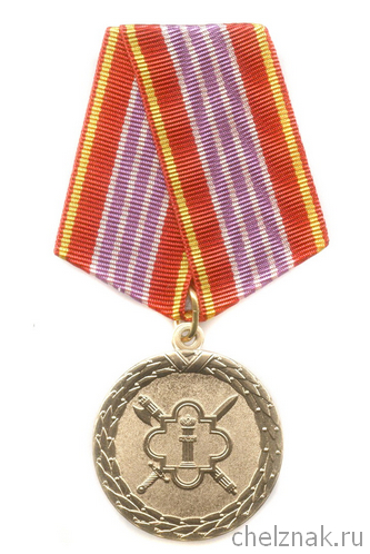 medal-za-vislugu-let-im-9