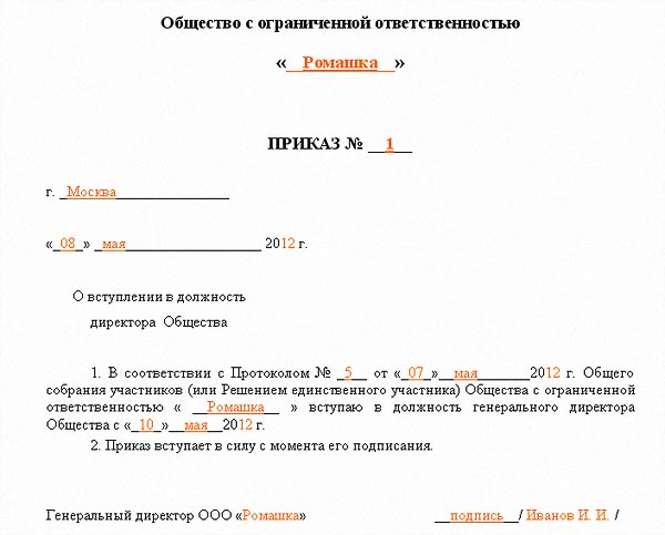 Приказ о назначении генерального директора в ооо с одним учредителем образец