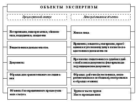 sudebno-meditsinskaya-ekspertiza-zhivih-lits-im-8