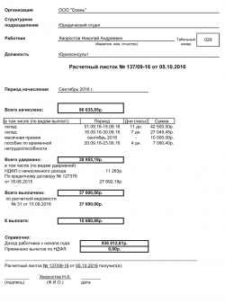 raschetniy-listok-po-zarplate-rasshifrovka-im-15