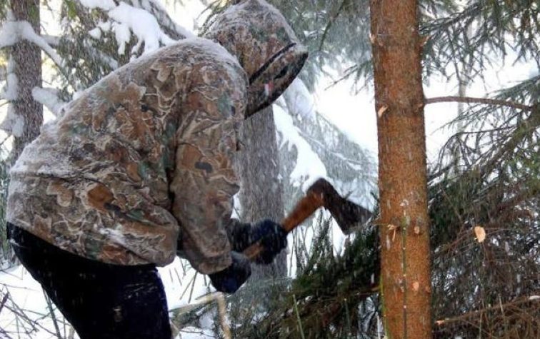 Мужчина рубит дерево